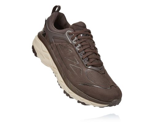 Hoka One One Challenger Low GORE-TEX Men's Trail Running Shoes Demitasse | 8451327-PD