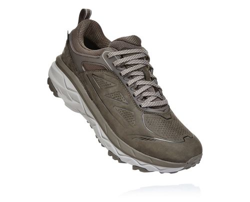 Hoka One One Challenger Low GORE-TEX Women's Hiking Boots Major Brown / Heather | 0972685-UH